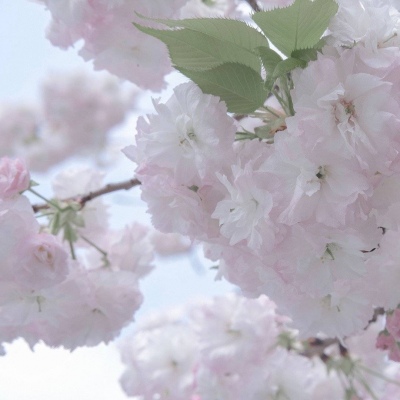 兽设拟人化设计实用技巧福瑞交流群